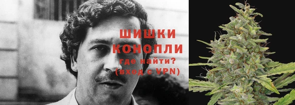 гидра Белокуриха