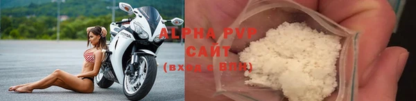 гидра Белокуриха