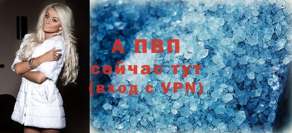 гидра Белокуриха