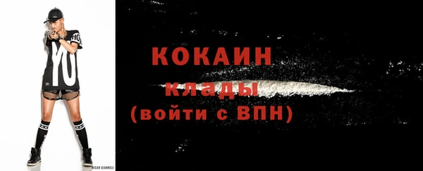 PSILOCYBIN Остров