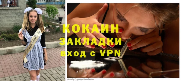 гидра Белокуриха