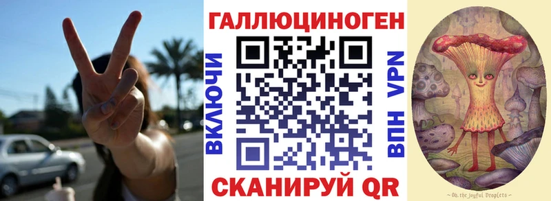 Псилоцибиновые грибы Psilocybe  OMG онион  Каспийск 